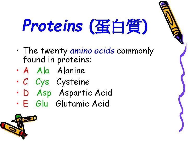 Proteins (蛋白質) • The twenty amino acids commonly found in proteins: • A Alanine