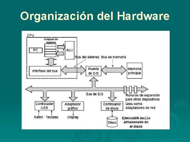 Organización del Hardware Organización del Hardware