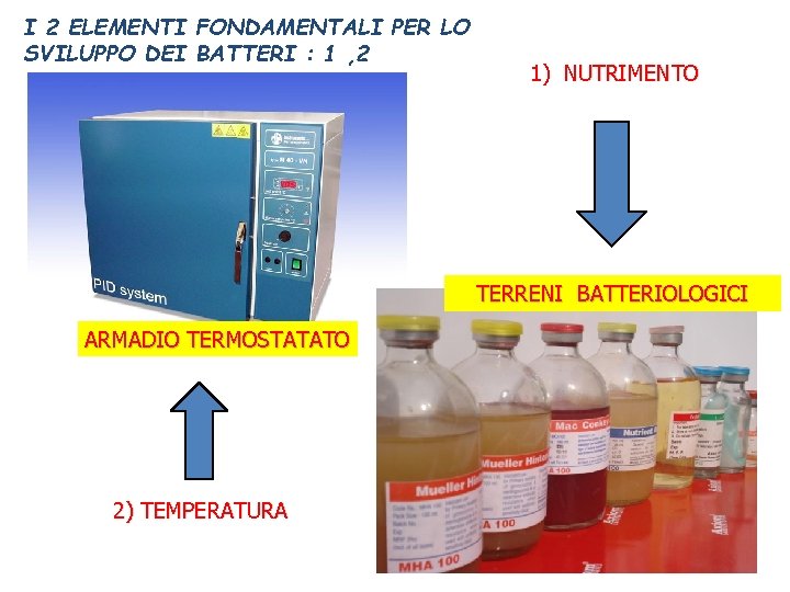 I 2 ELEMENTI FONDAMENTALI PER LO SVILUPPO DEI BATTERI : 1 , 2 1)