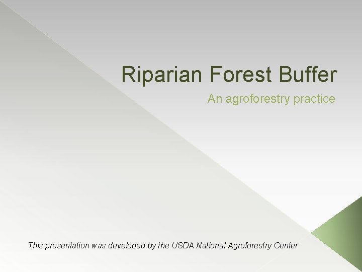 Riparian Forest Buffer An agroforestry practice This presentation was developed by the USDA National