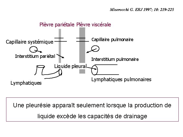 Miserocchi G. ERJ 1997; 10: 219 -225 Plèvre pariétale Plèvre viscérale Capillaire systémique Capillaire