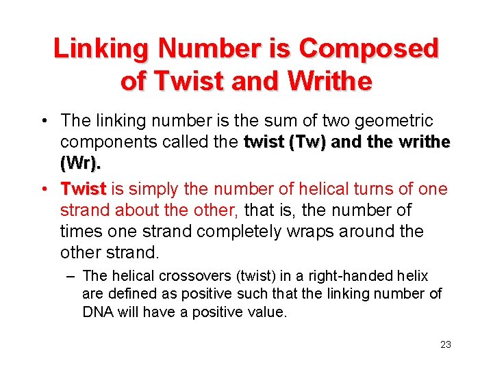 Linking Number is Composed of Twist and Writhe • The linking number is the