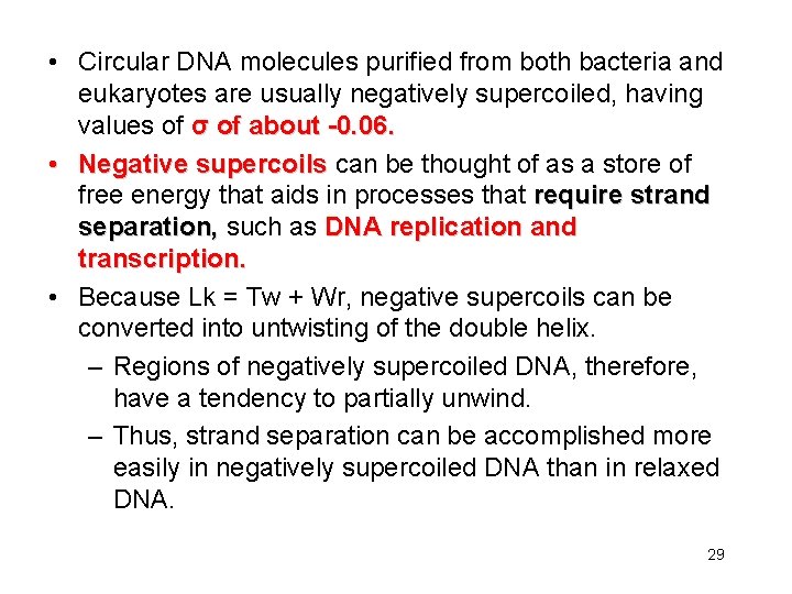  • Circular DNA molecules purified from both bacteria and eukaryotes are usually negatively