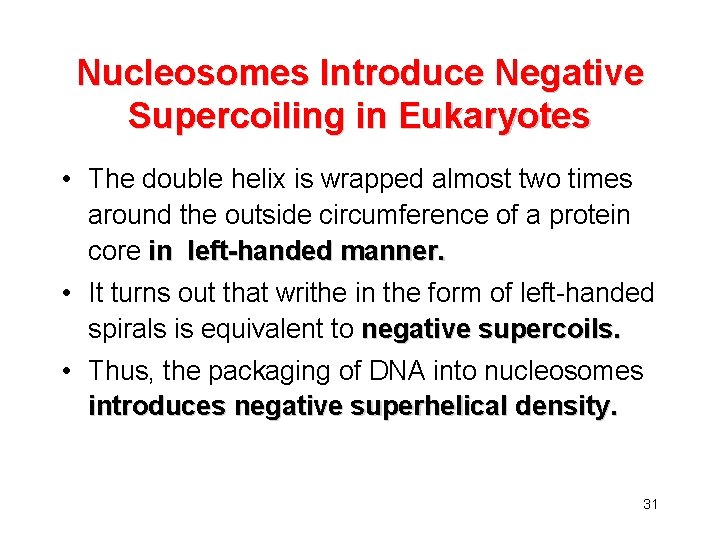 Nucleosomes Introduce Negative Supercoiling in Eukaryotes • The double helix is wrapped almost two