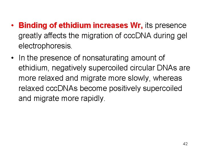  • Binding of ethidium increases Wr, its presence greatly affects the migration of