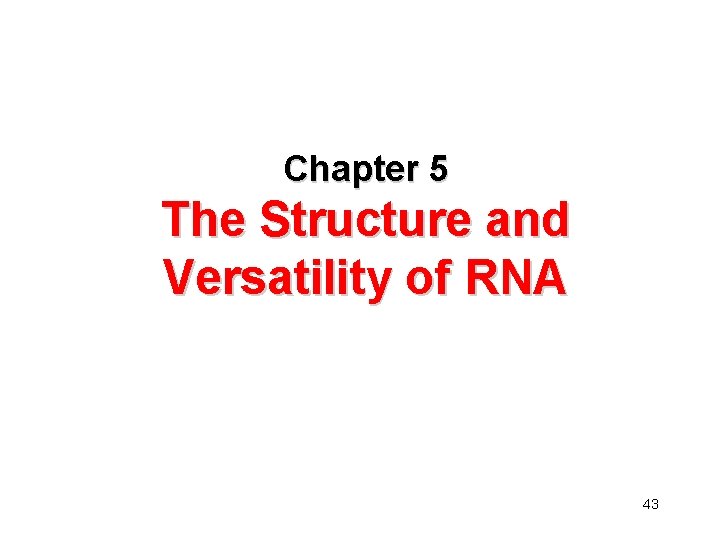 Chapter 5 The Structure and Versatility of RNA 43 