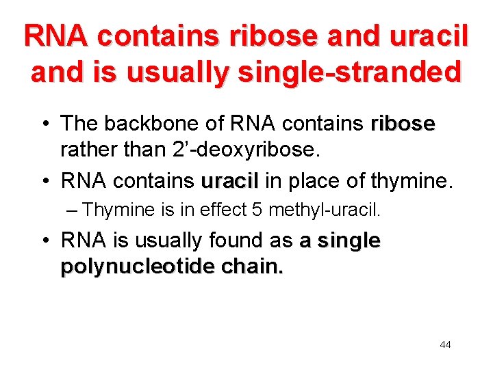 RNA contains ribose and uracil and is usually single-stranded • The backbone of RNA