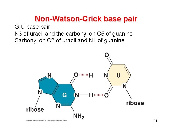 Non-Watson-Crick base pair G: U base pair N 3 of uracil and the carbonyl