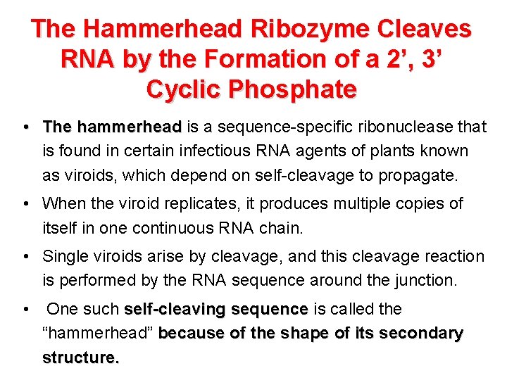 The Hammerhead Ribozyme Cleaves RNA by the Formation of a 2’, 3’ Cyclic Phosphate