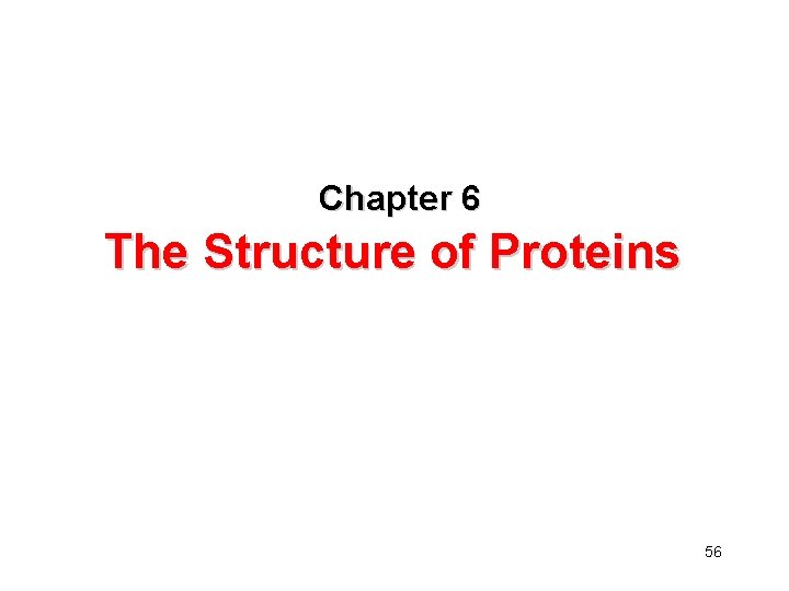 Chapter 6 The Structure of Proteins 56 