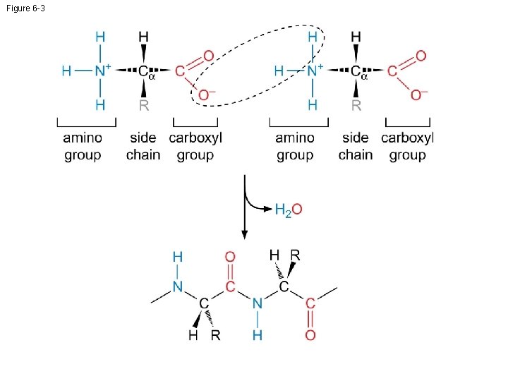 Figure 6 -3 