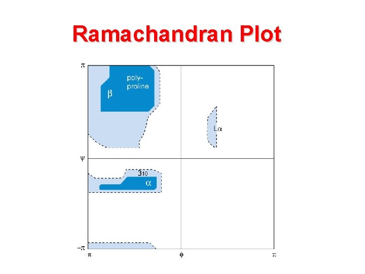 Ramachandran Plot 