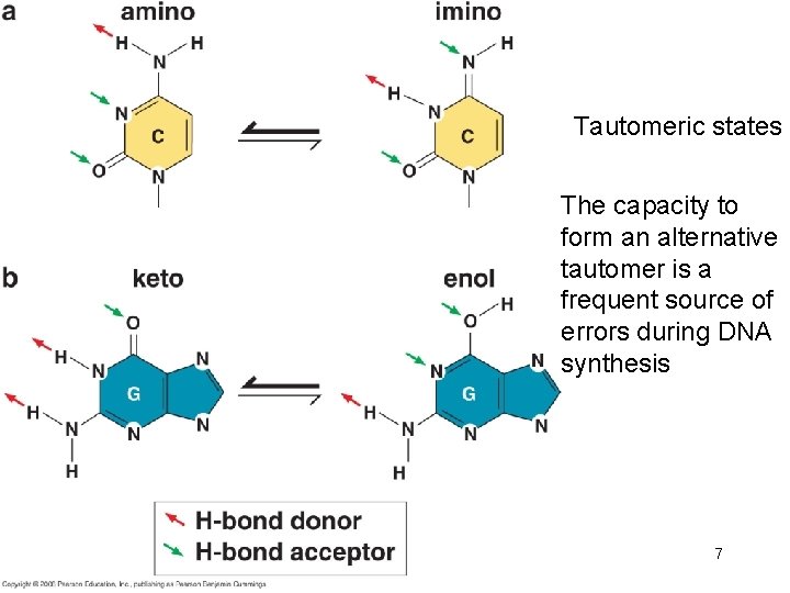 Tautomeric states The capacity to form an alternative tautomer is a frequent source of