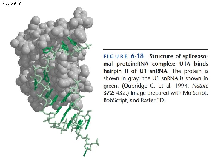 Figure 6 -18 