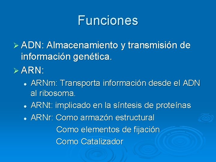 Funciones Ø ADN: Almacenamiento y transmisión de información genética. Ø ARN: l l l