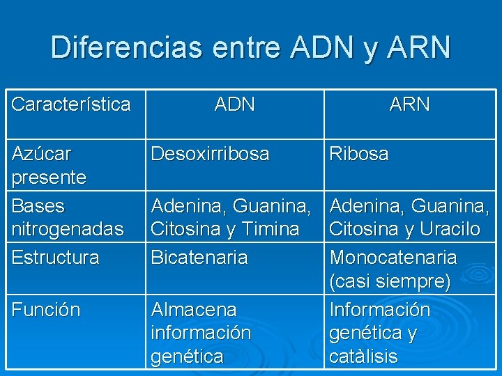 Diferencias entre ADN y ARN Característica ADN ARN Azúcar presente Bases nitrogenadas Estructura Desoxirribosa