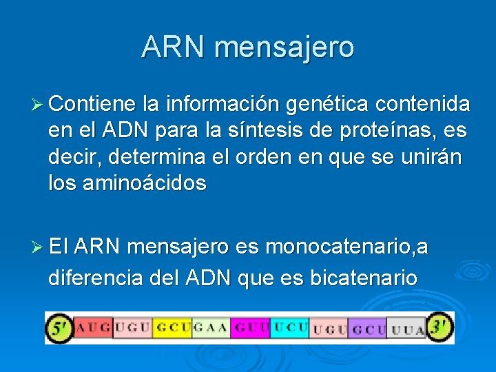 ARN mensajero Ø Contiene la información genética contenida en el ADN para la síntesis