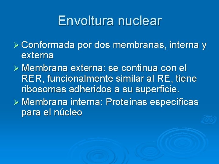 Envoltura nuclear Ø Conformada por dos membranas, interna y externa Ø Membrana externa: se