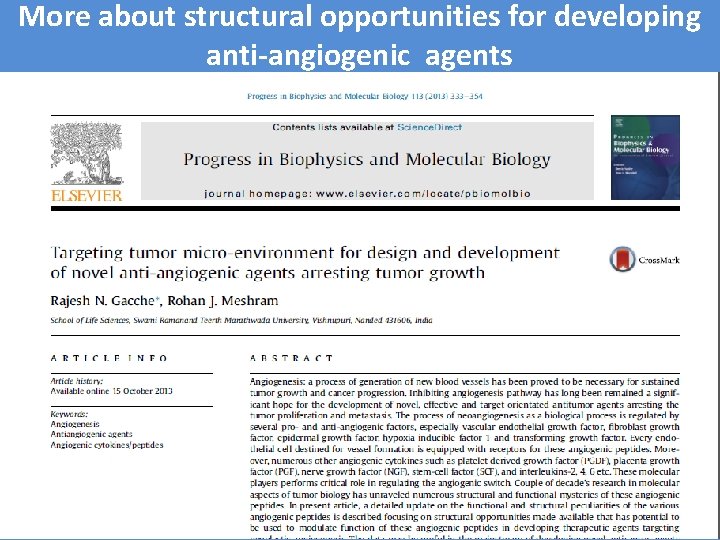 More about structural opportunities for developing anti-angiogenic agents More about structural opportunities for developing anti-angiogenic agents