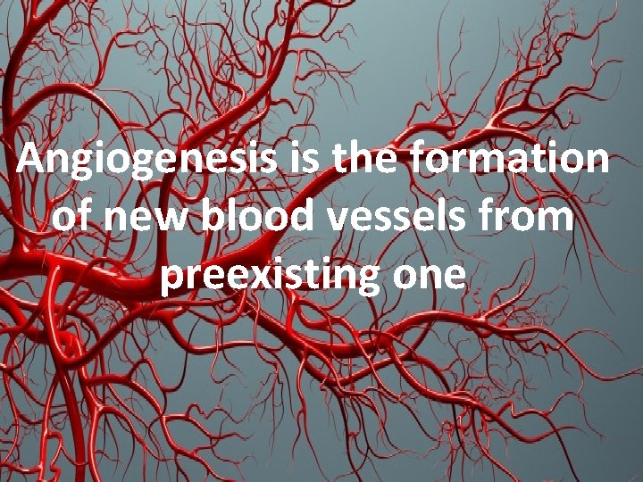 Angiogenesis is the formation of new blood vessels from preexisting one Angiogenesis is the formation of new blood vessels from preexisting one