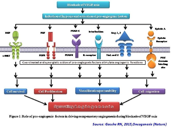 Source: Gacche RN, 2015, Oncogenesis (Nature) Source: Gacche RN, 2015, Oncogenesis (Nature)