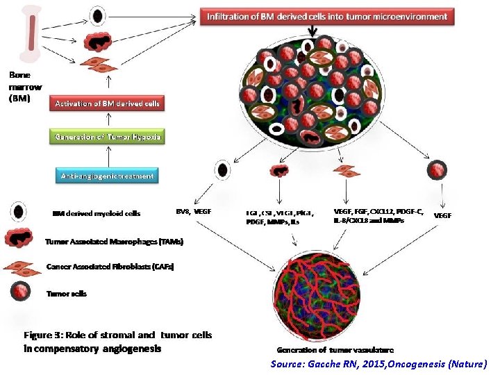 Source: Gacche RN, 2015, Oncogenesis (Nature) Source: Gacche RN, 2015, Oncogenesis (Nature)