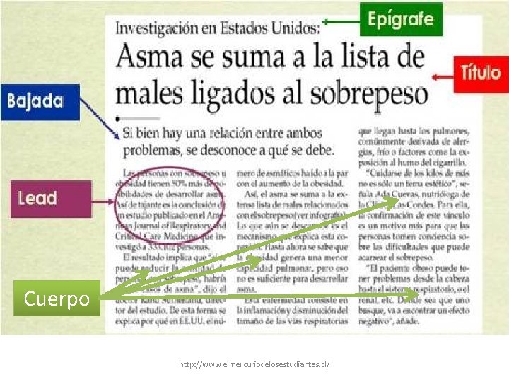 Cuerpo http: //www. elmercuriodelosestudiantes. cl/ 