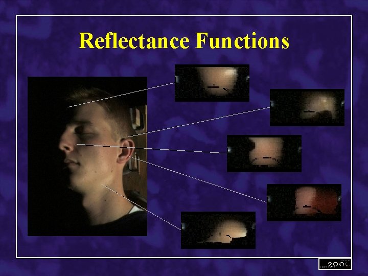 Reflectance Functions 
