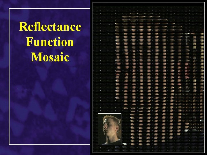 Reflectance Function Mosaic 