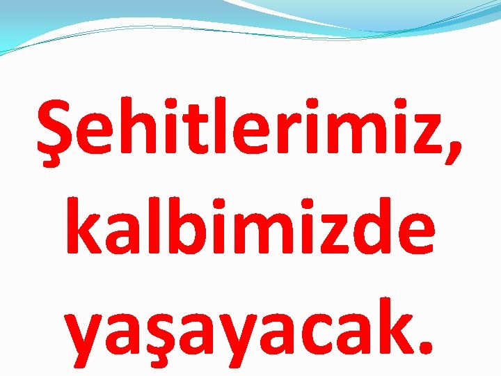 Şehitlerimiz, kalbimizde yaşayacak. 