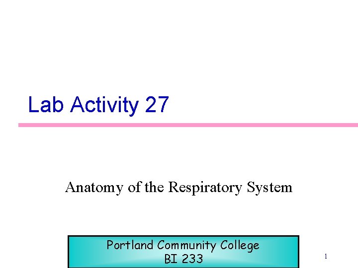 Lab Activity 27 Anatomy of the Respiratory System Portland Community College BI 233 1