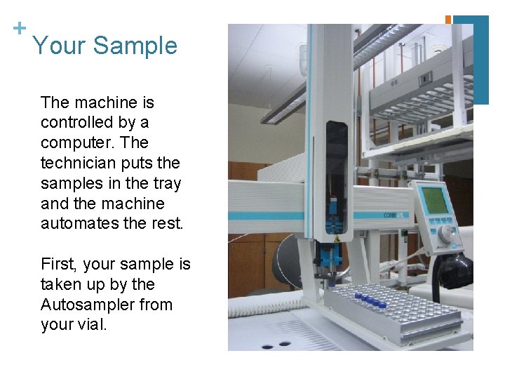 + Your Sample The machine is controlled by a computer. The technician puts the