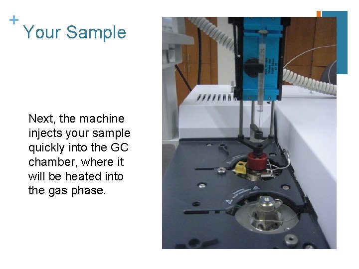 + Your Sample Next, the machine injects your sample quickly into the GC chamber,