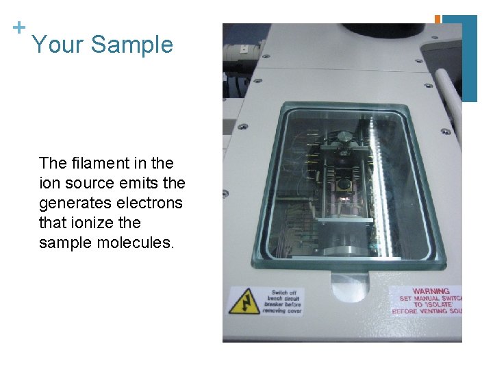 + Your Sample The filament in the ion source emits the generates electrons that