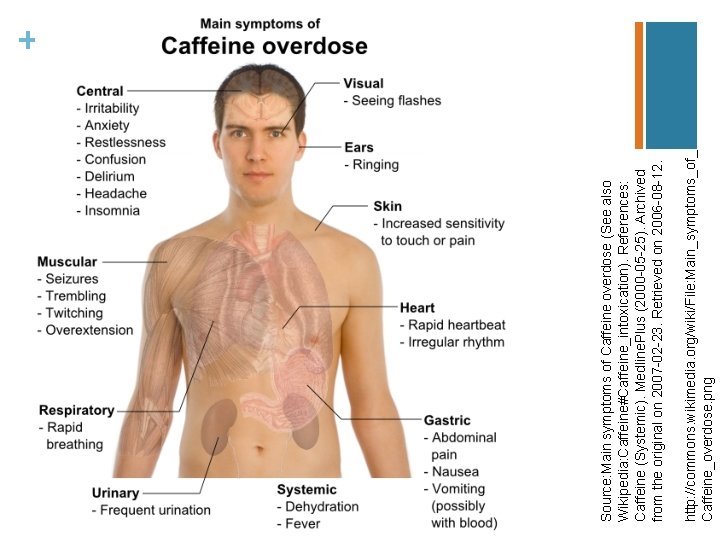 http: //commons. wikimedia. org/wiki/File: Main_symptoms_of_ Caffeine_overdose. png Source: Main symptoms of Caffeine overdose (See