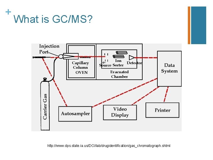 + What is GC/MS? http: //www. dps. state. ia. us/DCI/lab/drugidentification/gas_chromatograph. shtml 