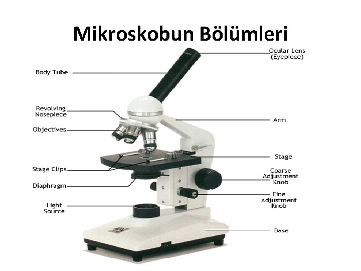 Mikroskobun Bölümleri 
