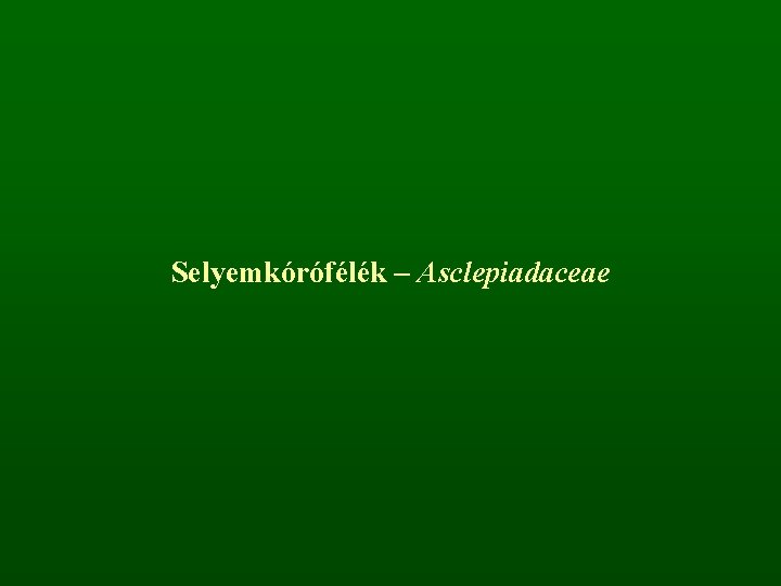 Selyemkórófélék – Asclepiadaceae 