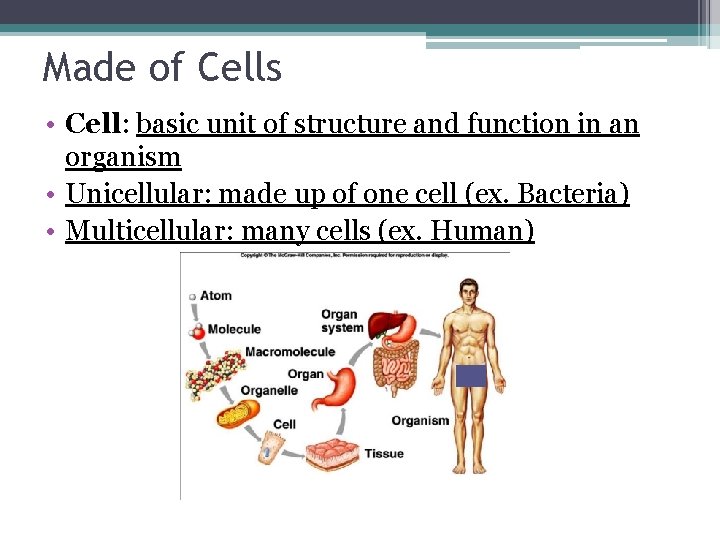 Made of Cells • Cell: basic unit of structure and function in an organism