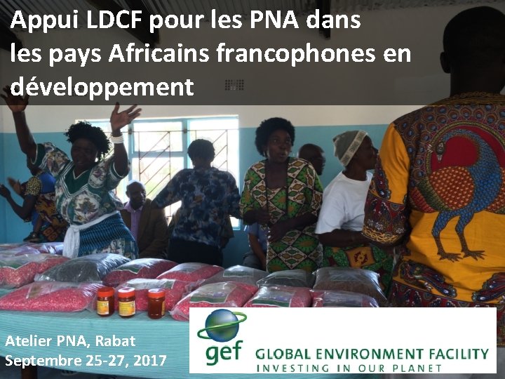 Appui LDCF pour les PNA dans les pays Africains francophones en développement Atelier PNA, Appui LDCF pour les PNA dans les pays Africains francophones en développement Atelier PNA,