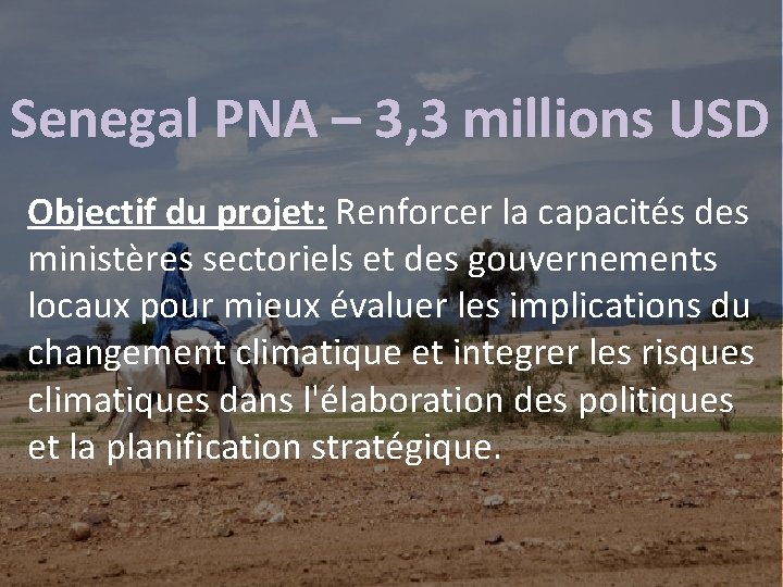 Senegal PNA – 3, 3 millions USD Objectif du projet: Renforcer la capacités des