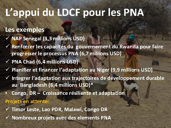 L’appui du LDCF pour les PNA Les exemples ü NAP Senegal (3, 3 millions L’appui du LDCF pour les PNA Les exemples ü NAP Senegal (3, 3 millions