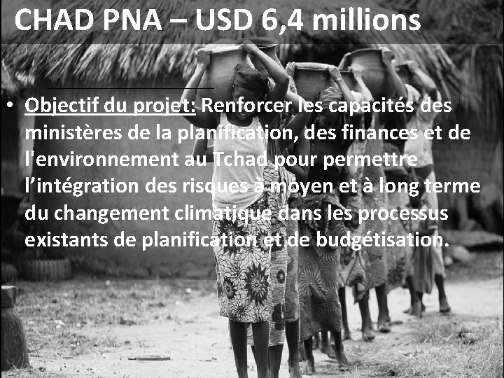 CHAD PNA – USD 6, 4 millions • Objectif du projet: Renforcer les capacités