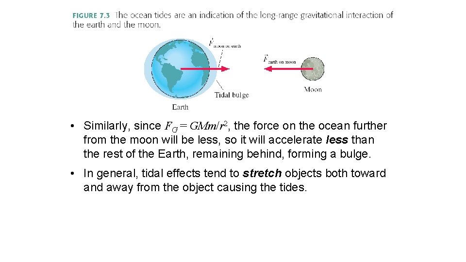  • Similarly, since FG = GMm/r 2, the force on the ocean further