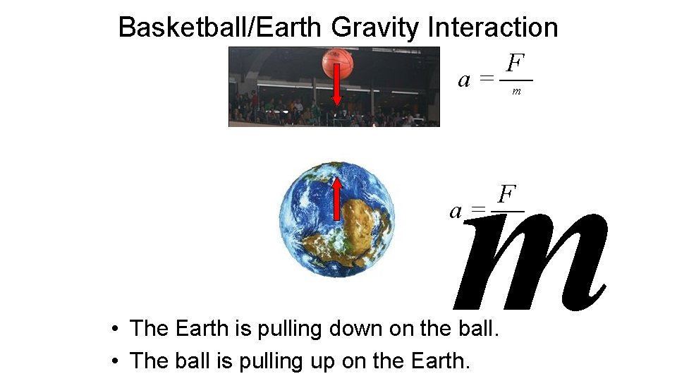 Basketball/Earth Gravity Interaction F a= m m a= F • The Earth is pulling