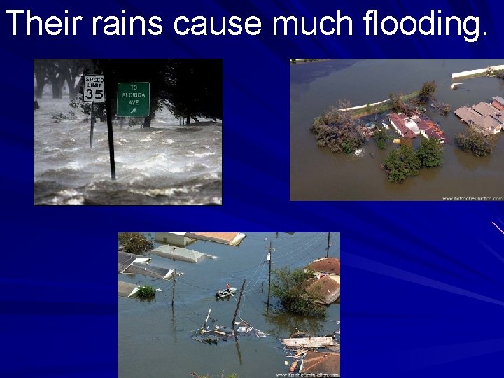 Their rains cause much flooding. 
