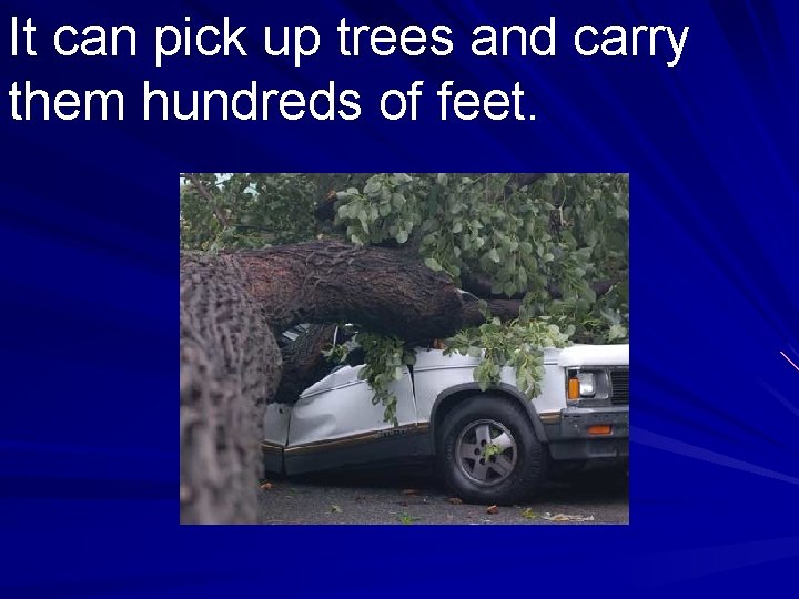 It can pick up trees and carry them hundreds of feet. 