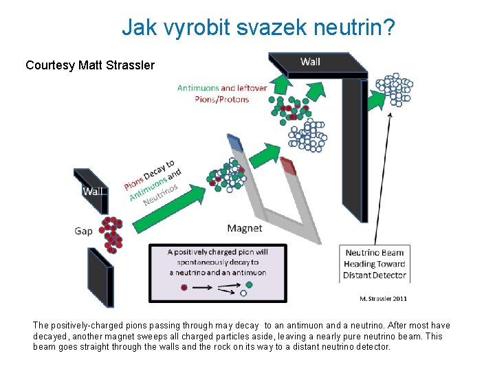 Jak vyrobit svazek neutrin? Courtesy Matt Strassler The positively-charged pions passing through may decay