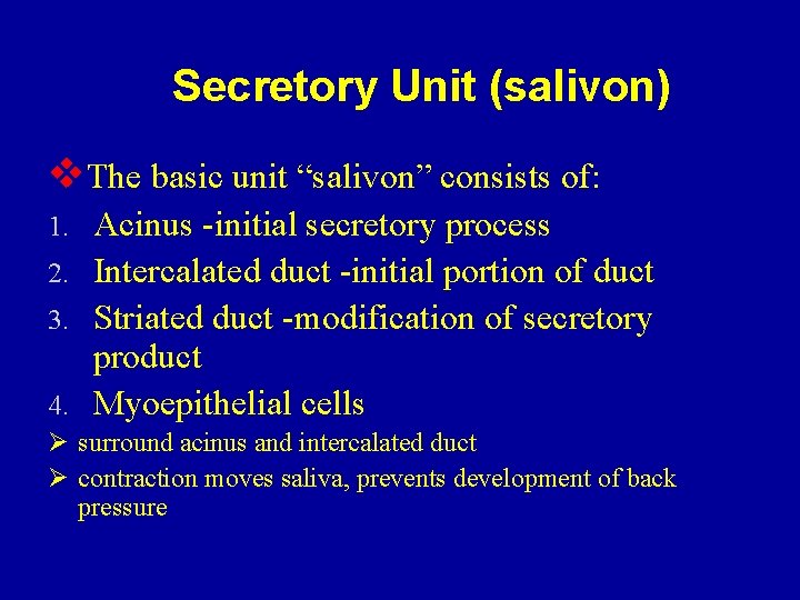 Secretory Unit (salivon) v. The basic unit “salivon” consists of: Acinus -initial secretory process