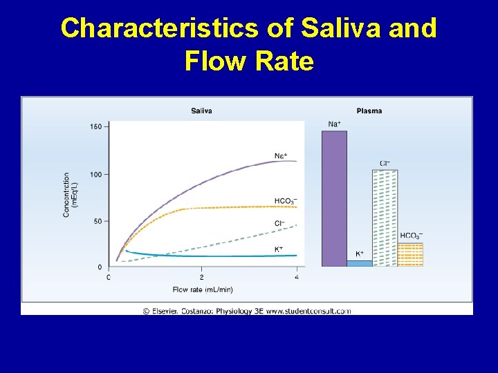 Characteristics of Saliva and Flow Rate 